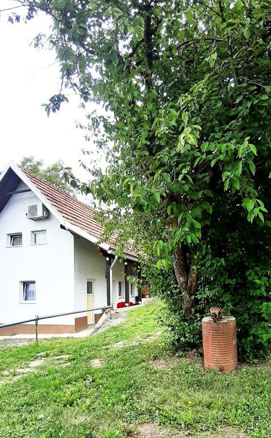 Apartman Nino Tounj Exteriér fotografie